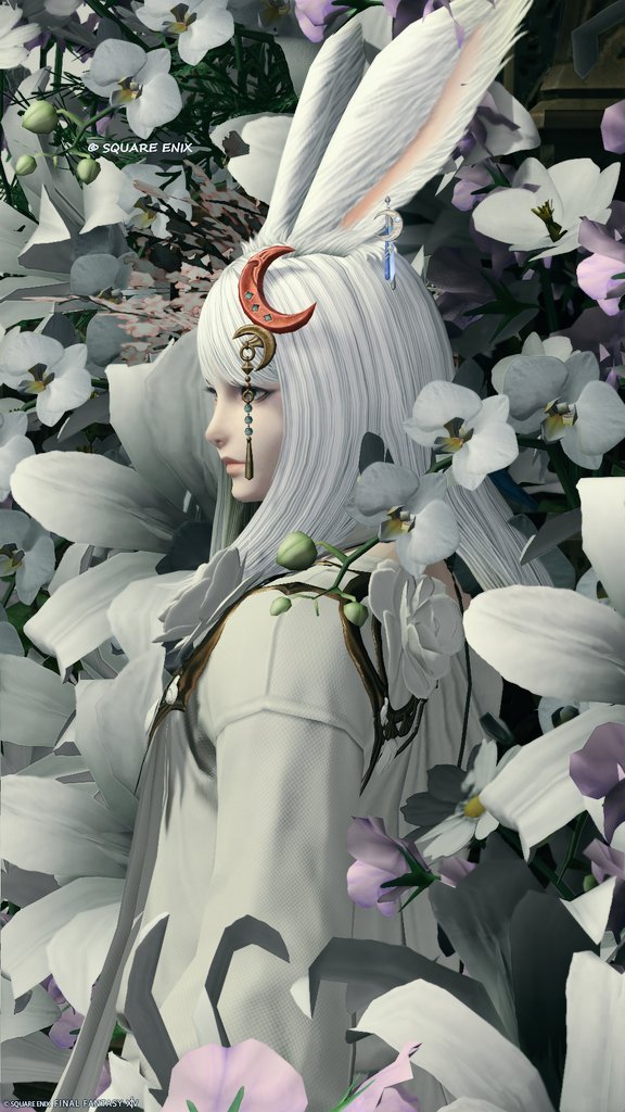 dg_ucl's tweet photo. ๐บ๐๐๐ ๐๐๐๐๐๐๐๏ธ๐น
#ST_SOGNO
#FF14 #ใใฏใฆใต https://t.co/RFQBh82DKb