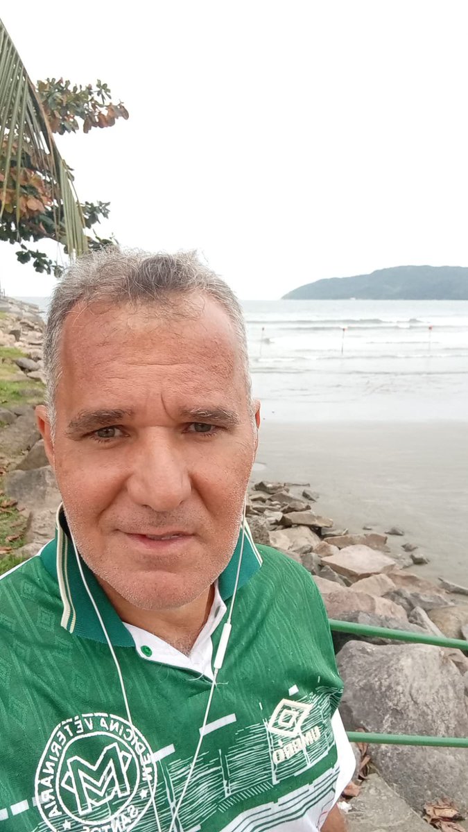 avelino carvalho tweet media