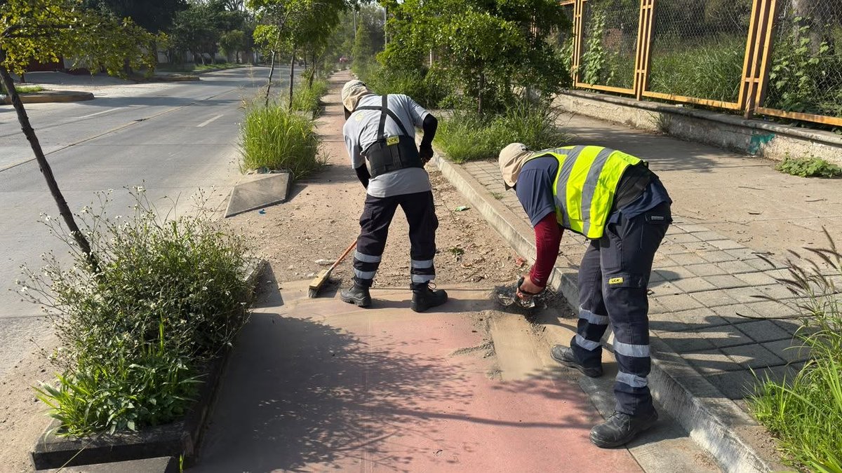AgenciaAMIM's tweet photo. 🚧 Trabajamos por una movilidad más segura:
📍 Señalamiento horizontal en Periférico (altura C. Frailes) y Av. Patria Oriente (De la Barca-Abascal y Souza)
📍 Limpieza de ciclovía en Av. Guadalupe (Las Torres-Lázaro Cárdenas)
#AMIM #SeñalamientosAMG https://t.co/fnUV0ZxkXC