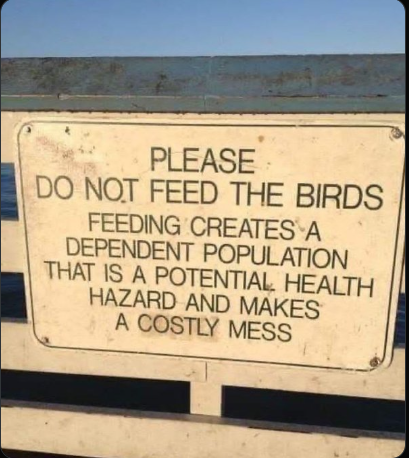 BasedAF1776X's tweet photo. We need to stop Sending Money to all those Countries full of Birds who hate America! https://t.co/9MNwwQLojj