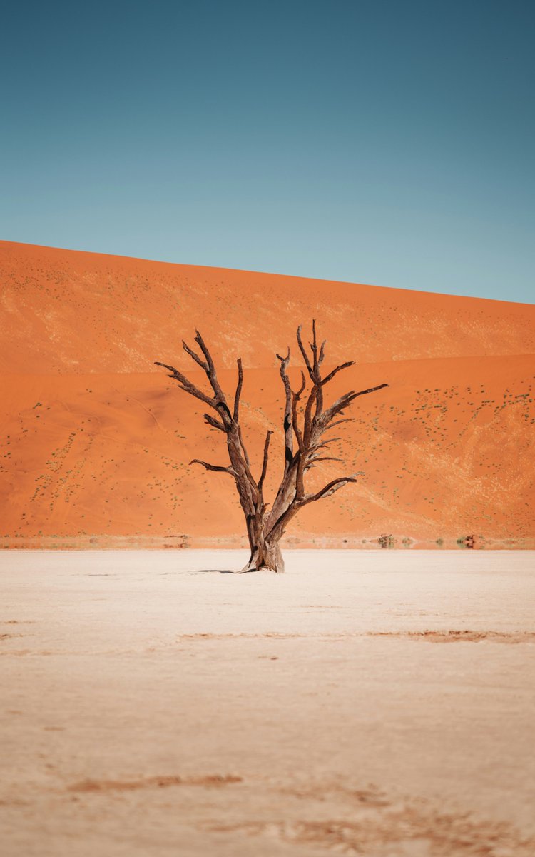earthcurated's tweet photo. 🇳🇦 Namibia is home to the world's oldest desert, the Namib, estimated to be over 55 million years old. https://t.co/5UJucuz8gG