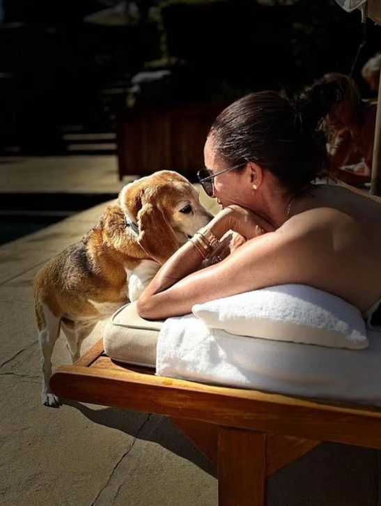 bornfirstkindly's tweet photo. This photo was taken at their home. The tile is exactly the same, even the brown wooden box in the background matches perfectly.
And I do believe that dog is Guy - who sadly passed early in 2025. https://t.co/OHlsDs4ymS