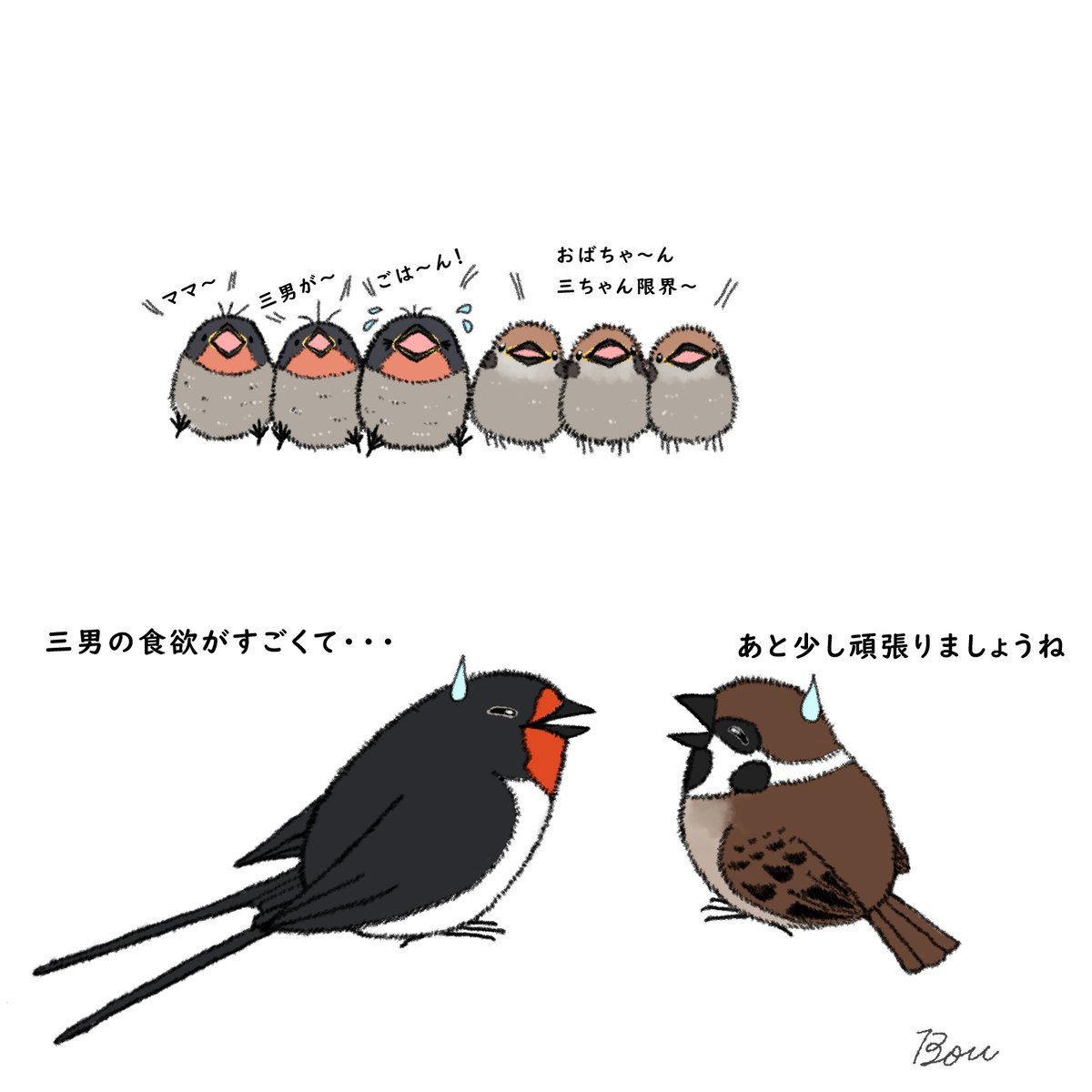 Bou_toriartclub's tweet photo. 長野県の民家さんで、ツバメとスズメがお隣で子育てしてるってニュース読んですんごい笑顔になった☺️ https://t.co/yNdBlk8bdM