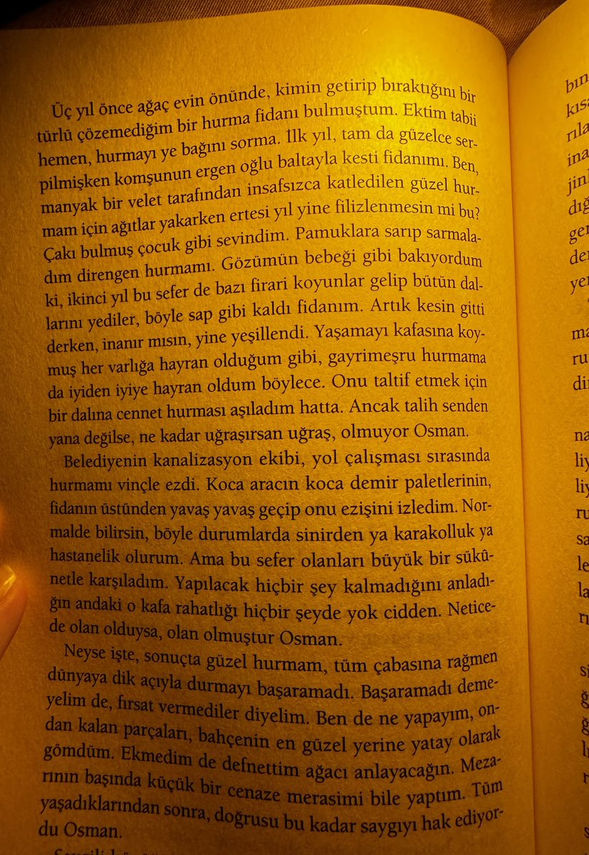 9Devrim's tweet photo. https://t.co/6YVc0WxaOB