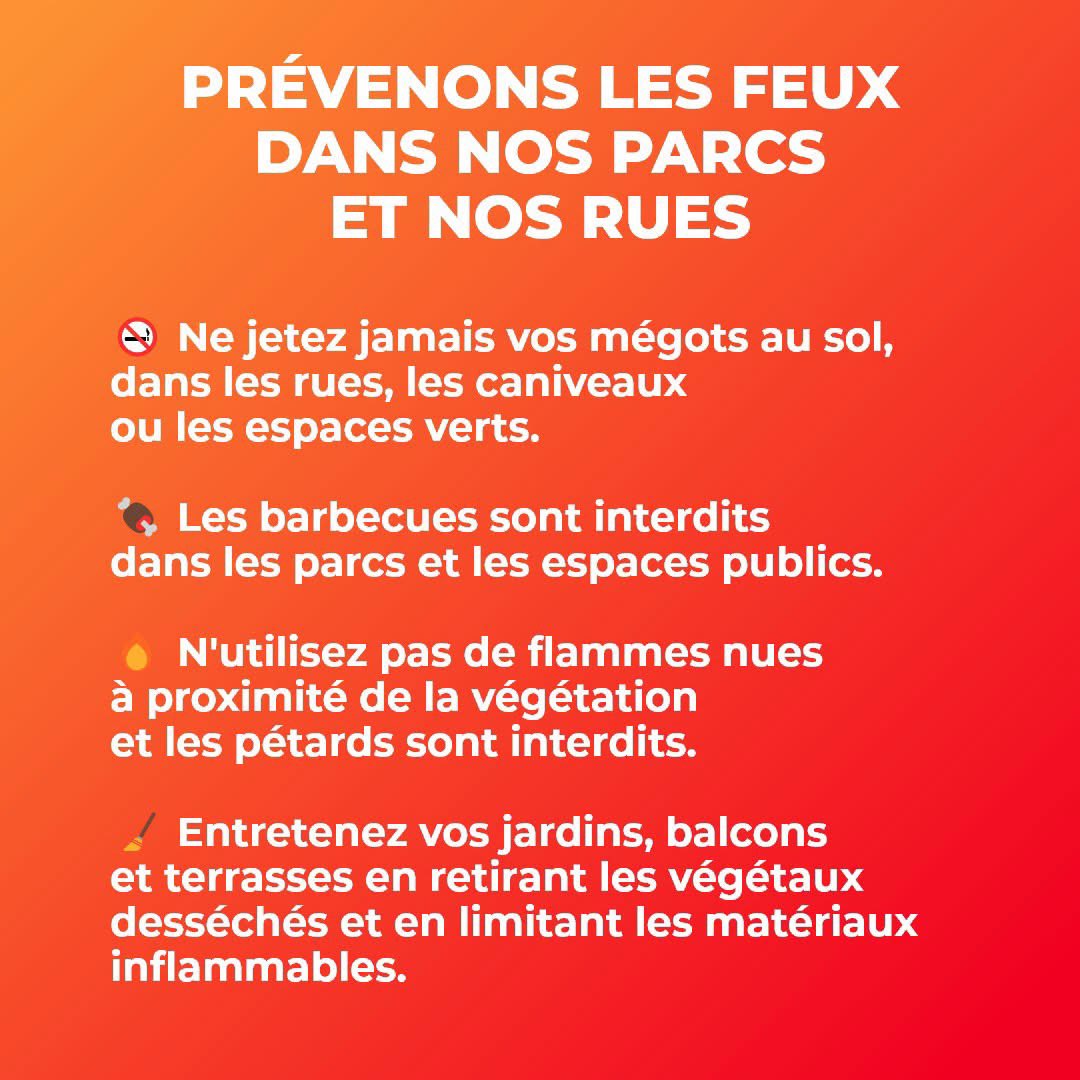 AzzazNadege's tweet photo. 🔥 🚨 Avec la sécheresse qui touchent notre territoire depuis plusieurs semaines, le risque de départ de feu est élevé même en milieu urbain.

Parcs, jardins, talus ou espaces verts : agir pour éviter les départs de feu en adoptant les bons réflexes.
https://t.co/mnSn0IrSDK https://t.co/KllSkHZbZC