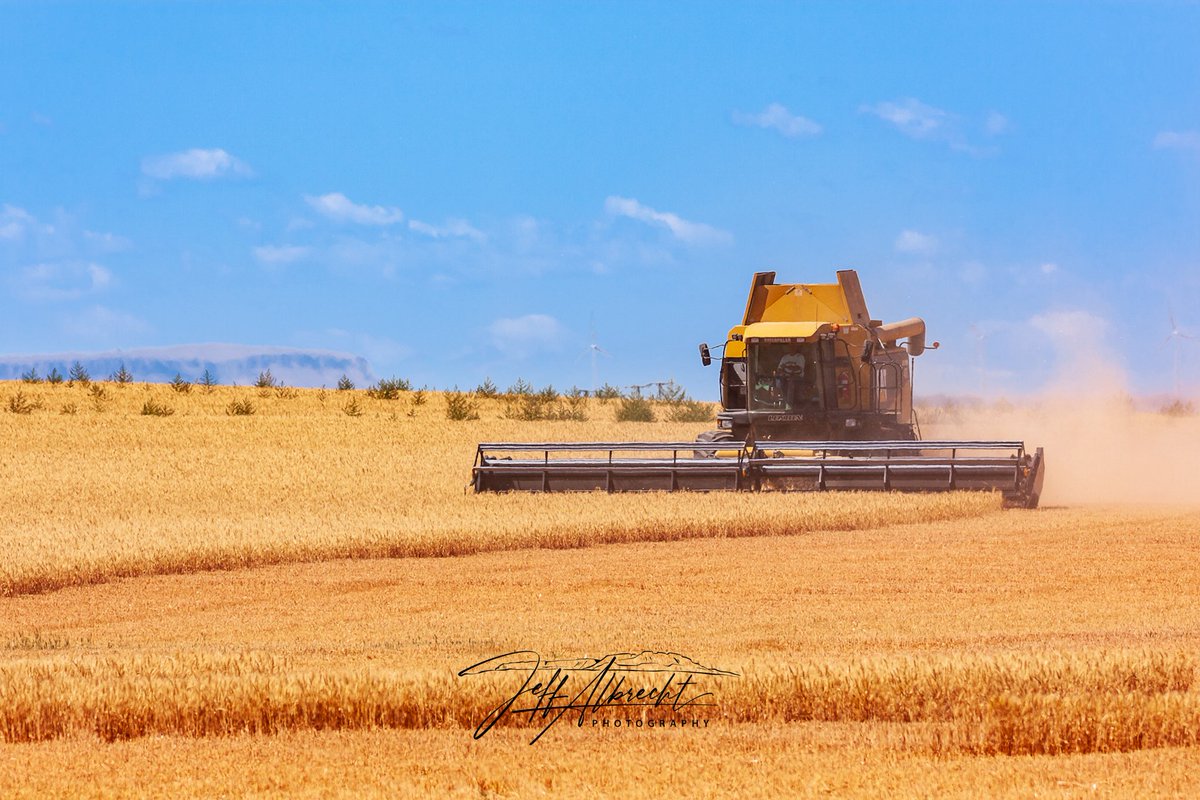 MontanaImgs's tweet photo. Central Montana harvest season https://t.co/XWozBLLpKS