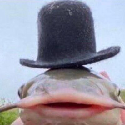 soupyduck's tweet photo. #NewProfilePic https://t.co/WijnfY0R4x