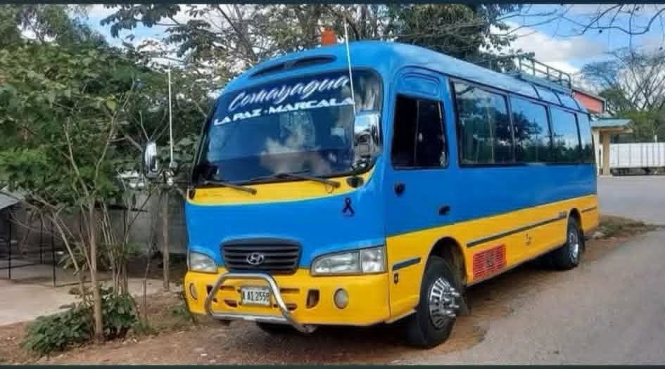 360unifiedtv's tweet photo. #DENUNCIA | ¡Usuarios denuncian cobros excesivos en el transporte!
Pasajeros aseguran que se está cobrando L. 200 por el recorrido de Marcala a El Conejo, una tarifa que, según denuncian, afecta seriamente la economía de las familias. https://t.co/3AzJBZ4ZSn
