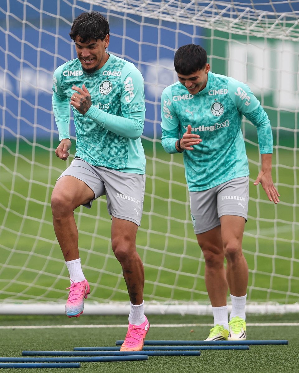 SE Palmeiras tweet media