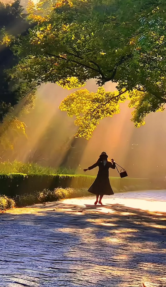 T__S2__J's tweet photo. Your daily 10-minute walk boosts metabolism, lowers blood pressure, and lifts mood! Small steps = big health wins. https://t.co/hrI7A7Zirr