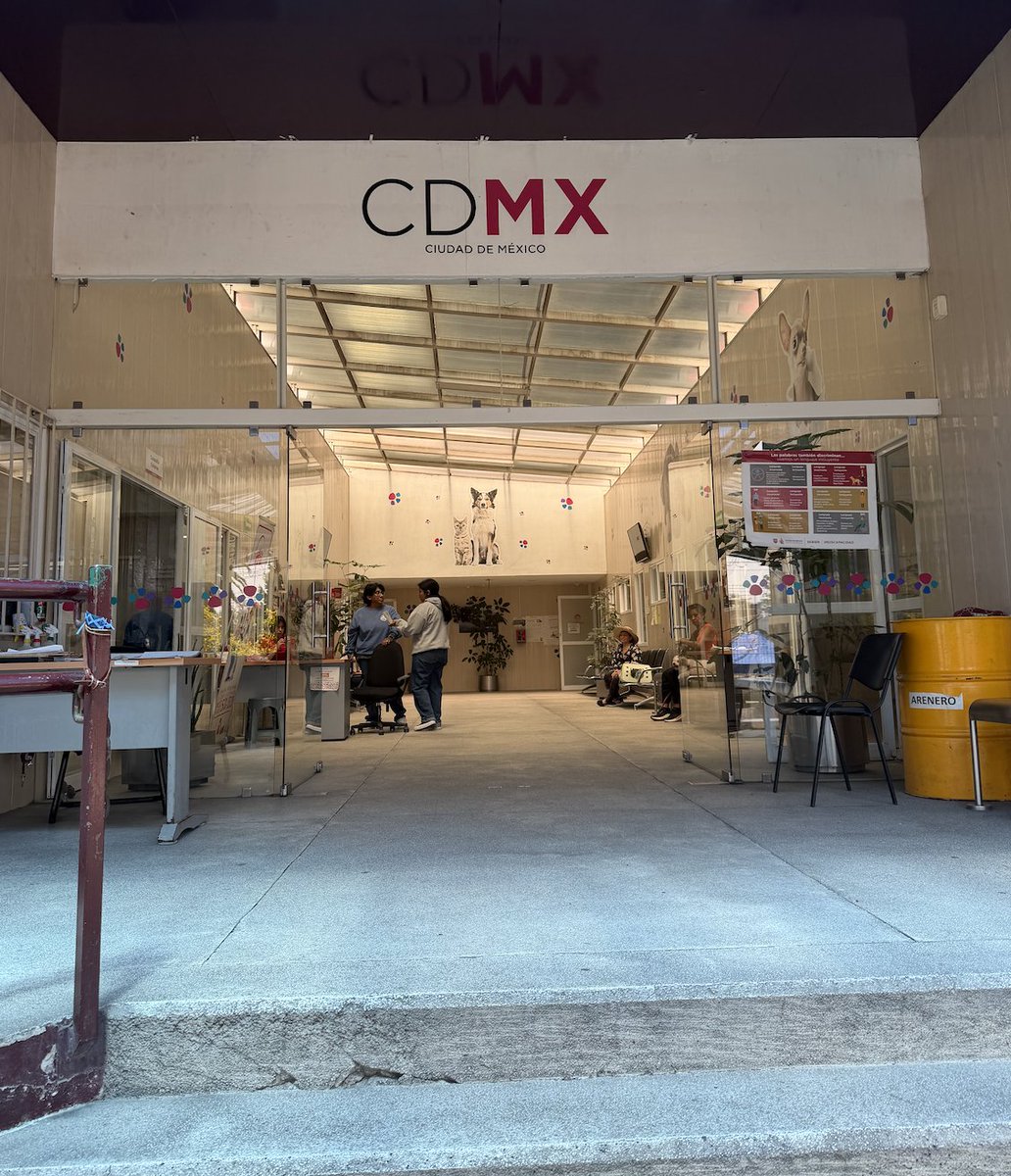 Alina_Gag's tweet photo. Ayer conocí el Hospital Veterinario de la Ciudad de México ubicado en Iztapalapa y gestionado por @AgatanCdmx y salí muy impresionada

El hospital es semi-gratuito (más adelante les dejo foto de los costos super económicos que tiene) y atiende entre 50 y 100 animales por día https://t.co/4ORJa6nF4P