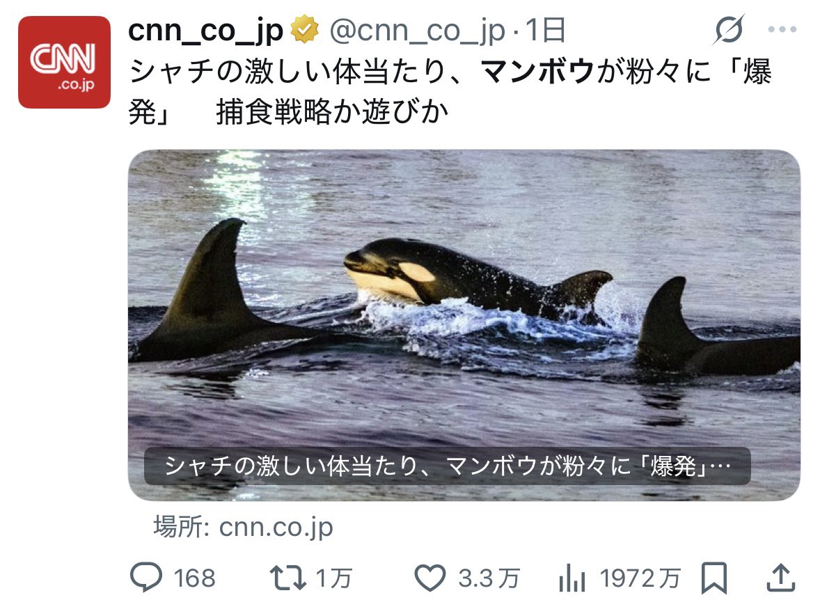 rob___00000's tweet photo. バブルリングで遊ぶマンボウに体当たりして爆発させて遊ぶシャチ https://t.co/2IkZ4Vam52