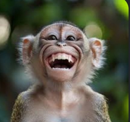Abdul_Jr11's tweet photo. @NigeriaStories Run oooh 😅😅😅 https://t.co/bFrjShCzTX