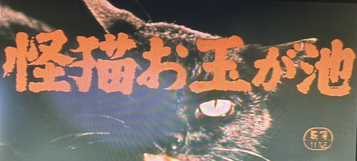 2026/480:::ENO対核心015:::怨恨TV277:::ENO羨望TV003】 「怪猫お玉が