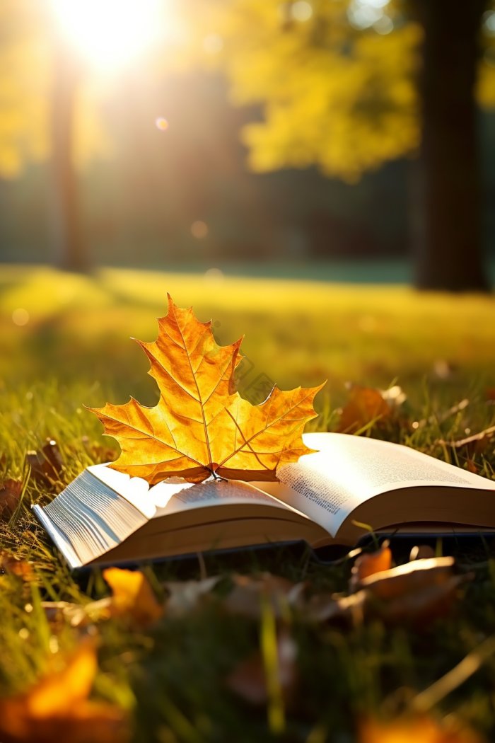 Krishna35000208's tweet photo. This page turner is pure magic! Every chapter pulls me deeper into the story—can’t wait to see what happens next. #BookLovers #ReadingJoy https://t.co/7XZBr48Ncm