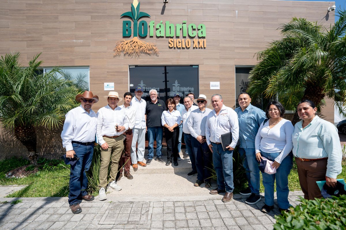 columbalopezg's tweet photo. Visitamos la Biofábrica Siglo XXI para conocer de cerca las soluciones biotecnológicas que hoy están transformando la agricultura y acercando la investigación científica a las y los productores.

Ese es el rumbo que queremos seguir, con un modelo agrícola más ecológico, sostenible y rentable, donde la innovación contribuya a fortalecer la producción y el bienestar de quienes trabajan el campo.

#TransformandoElCampoMexicano