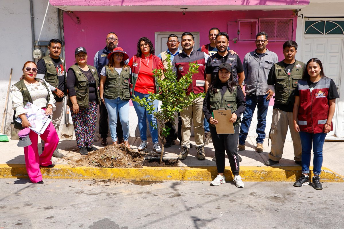 Adolfo_Cerqueda's tweet photo. 🌳🌎 En Nezahualcóyotl seguimos construyendo un municipio más verde y sustentable.

Pondremos en marcha una estrategia integral para reducir la temperatura urbana, con la plantación de más de 8 mil árboles entre julio y octubre de 2026, además de impulsar huertos escolares, jardines para polinizadores y corredores verdes, dando continuidad al programa "Raíces para el Futuro".

También abriremos un registro en línea para que las y los vecinos puedan participar en la adopción responsable de árboles. Antes de cada plantación, personal técnico realizará un estudio para asegurar que cada ejemplar cuente con las condiciones adecuadas para crecer y desarrollarse.

Cuidar el medio ambiente es cuidar nuestra salud, recuperar espacios públicos y construir un mejor futuro para las próximas generaciones.

📲 Regístrate en: https://t.co/TGPdN2O9H8