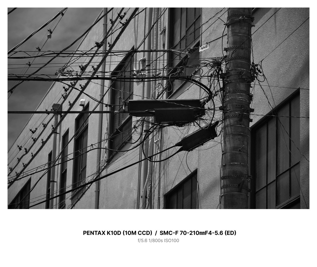 6yZVjuxQn7n2tWL's tweet photo. 2026年夏 甲府スナップ
#型落ち機材同盟 #CCD教 #1020万画素機
#PENTAX #K10D #CCD #SMC
#22bitADconverter
#SILKYPIX12 #Monochrome https://t.co/Anti1lu6pN