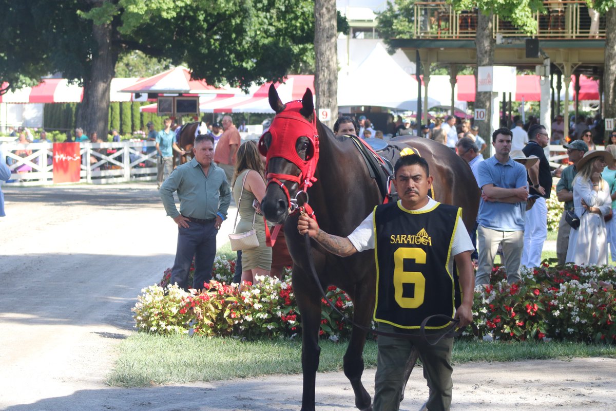 America’s Pastime Stables tweet media