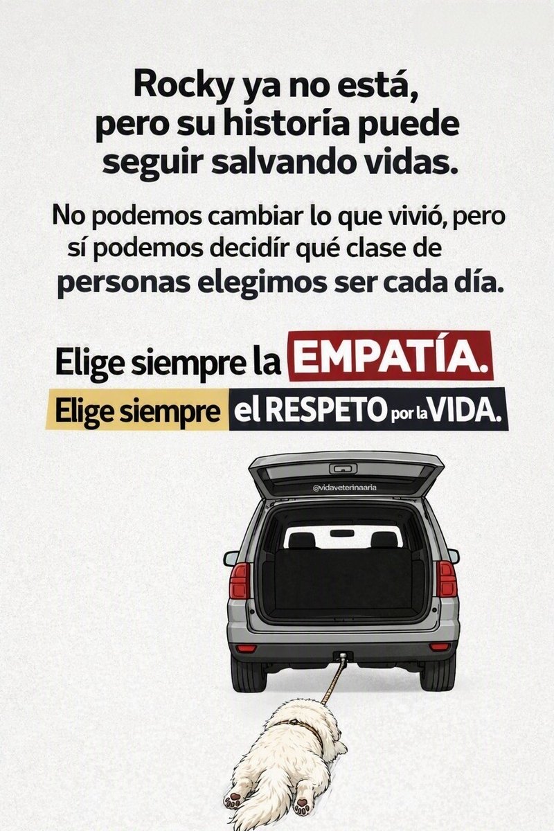 Maramensaje's tweet photo. https://t.co/cTAwYrGRJB