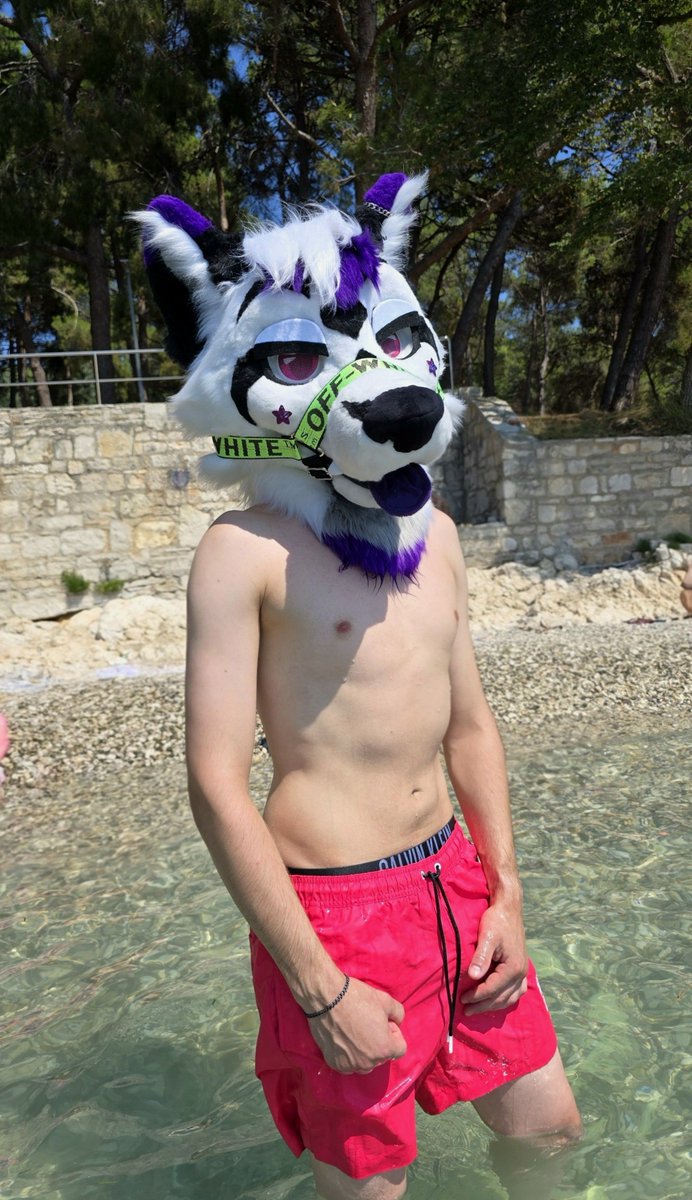 Dejfin's tweet photo. Summer vibes~ 
#FursuitFriday

📷 @Wilgrysek https://t.co/3fXiwQnAFc