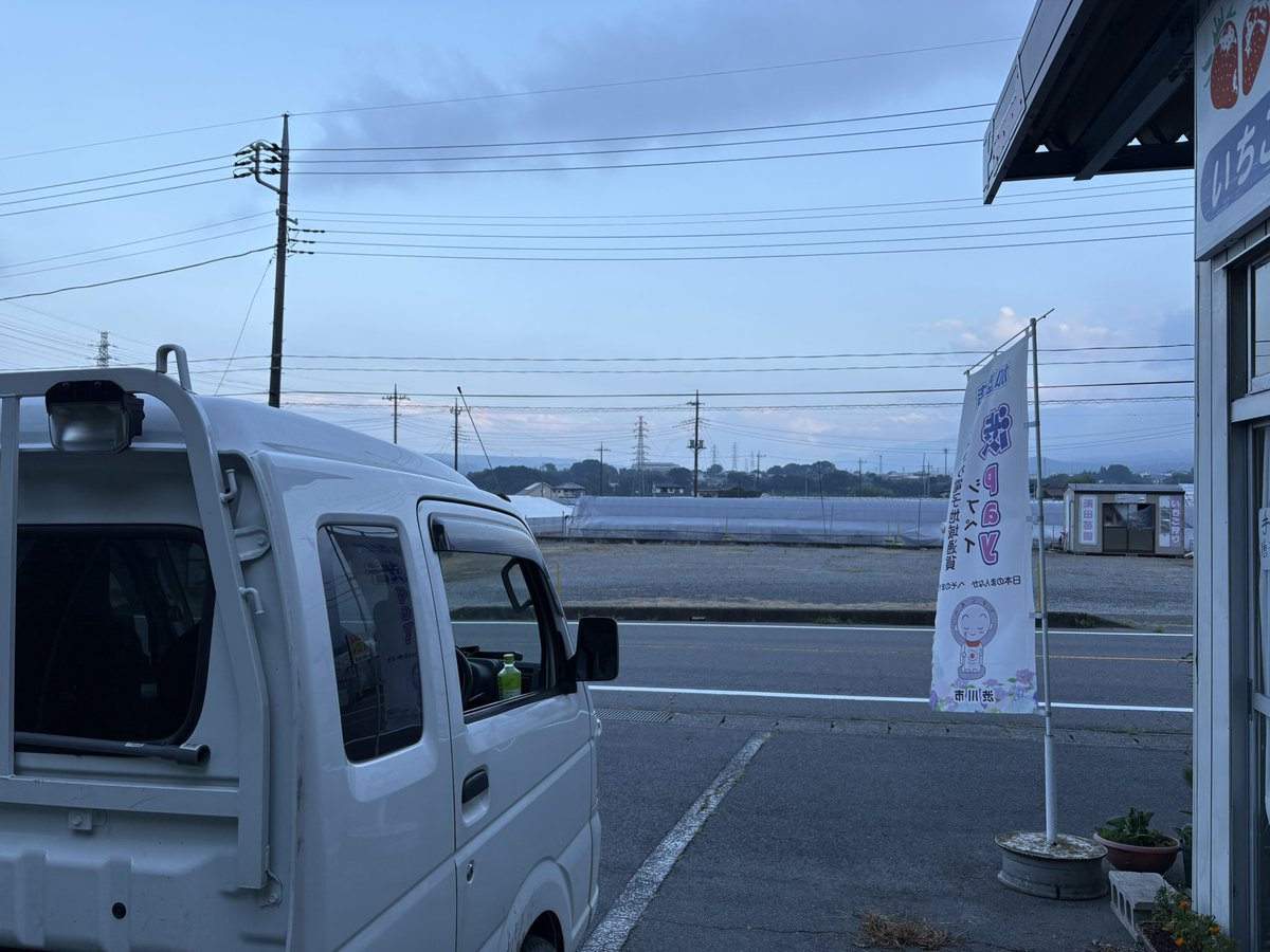 いちご🍓15(イチゴフィフティーン) tweet media