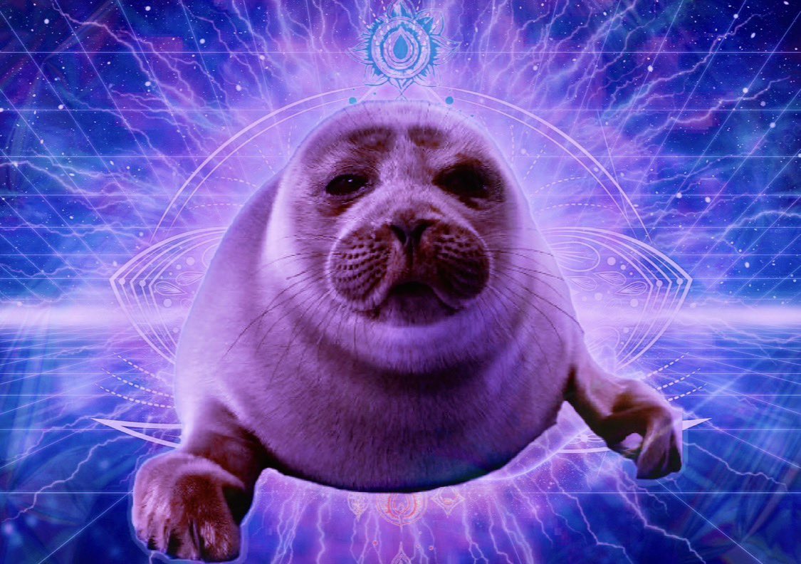 Shlissika's tweet photo. there is nothing like a nap and a poo to realign one’s chakras https://t.co/uVSvRPcwVH