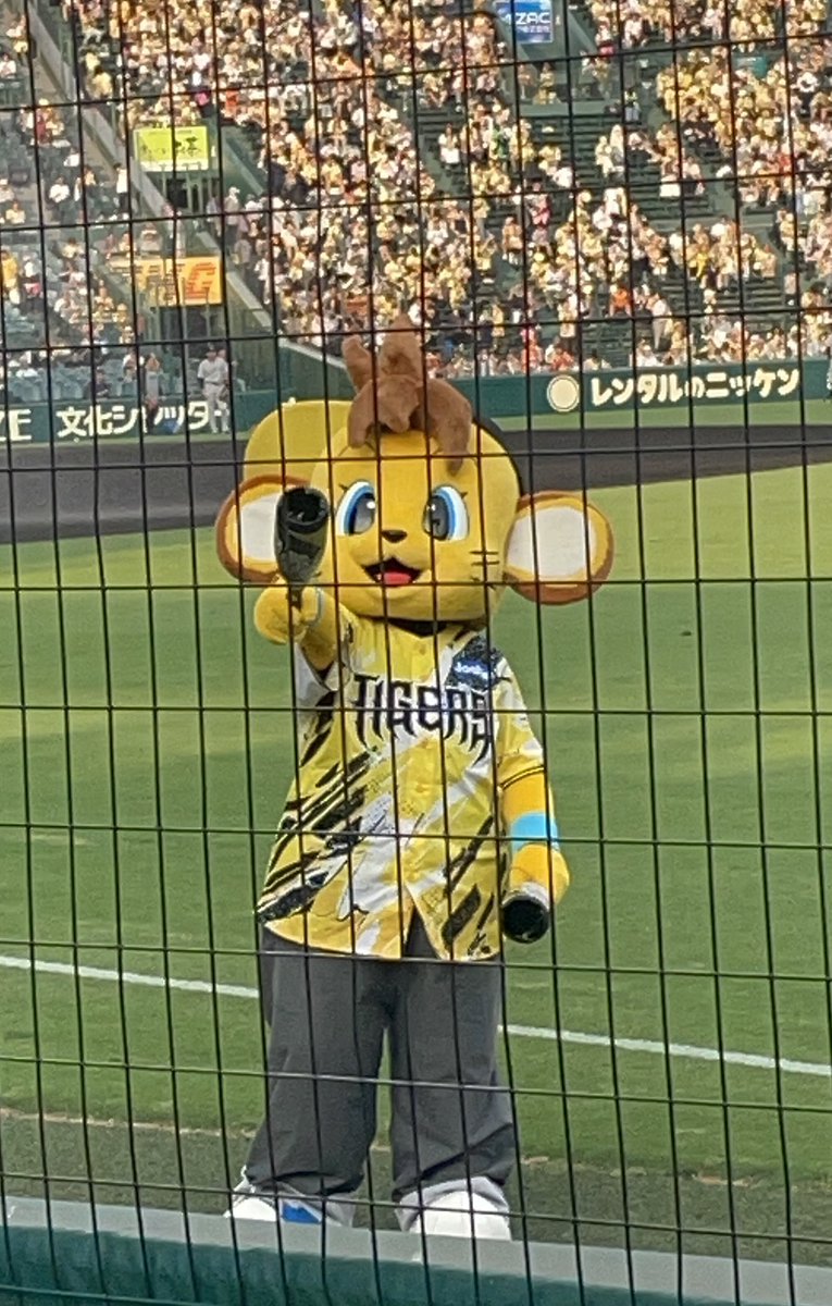 ht53897's tweet photo. 甲子園球場でもコラッキー🥰
８月にはファームの
「ウル虎の夏」も観戦します🏟️
#コラッキー https://t.co/xPvVgIJrtq
