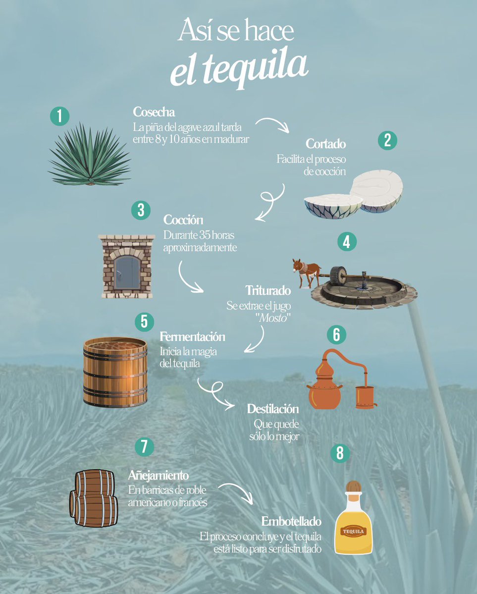 VisitMex's tweet photo. https://t.co/2xpCRCY6Zv
