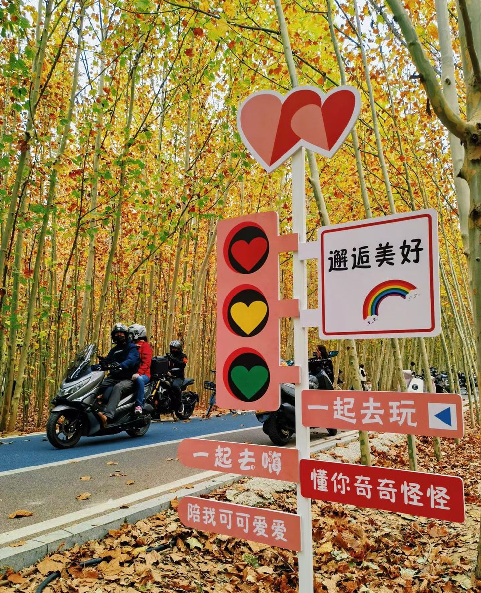 ieouit_'s tweet photo. Early autumn breeze is here—cool air, fallen maple leaves, and perfect coffee weather https://t.co/PBQuUWUhkH