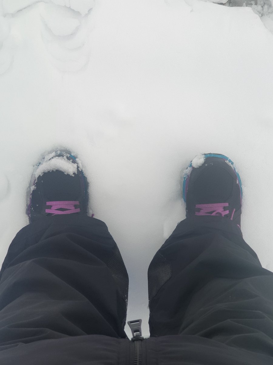 313_Alisan's tweet photo. What this morning feels like...
🥶 ❄️ 
Just over a month until spring 💐 https://t.co/ihlEOOddqL