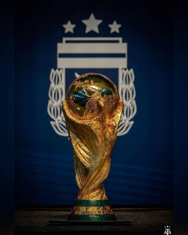 Selección Argentina ⭐️⭐️⭐️ tweet media