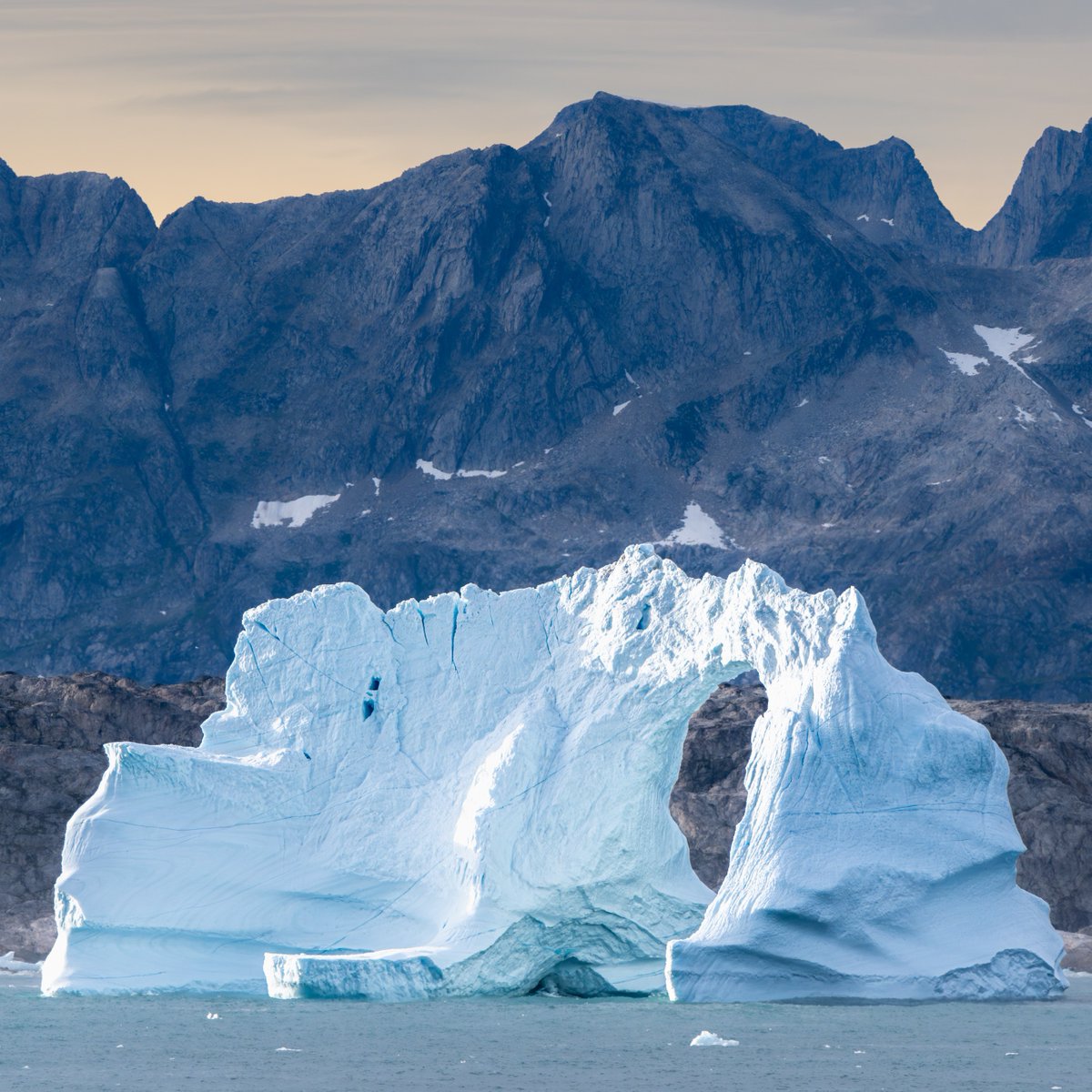 Lindblad Expeditions tweet media