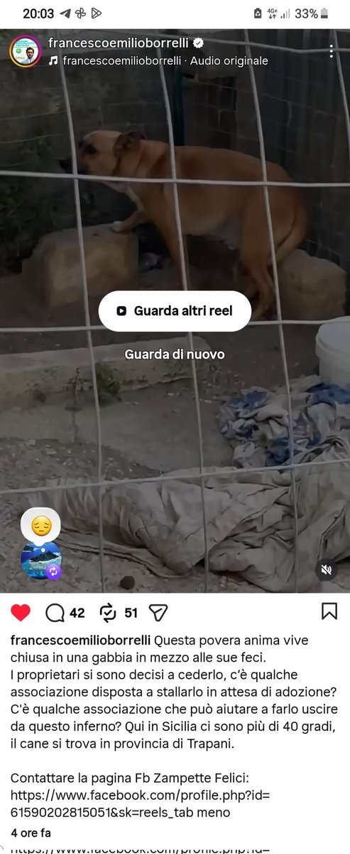 Angela2liveit1's tweet photo. URGENTE ❤ ADOTTATE ❤ URGENTE ❤ CONDIVIDETE ❤ ❤ ❤ https://t.co/5rjyhMgpf3
