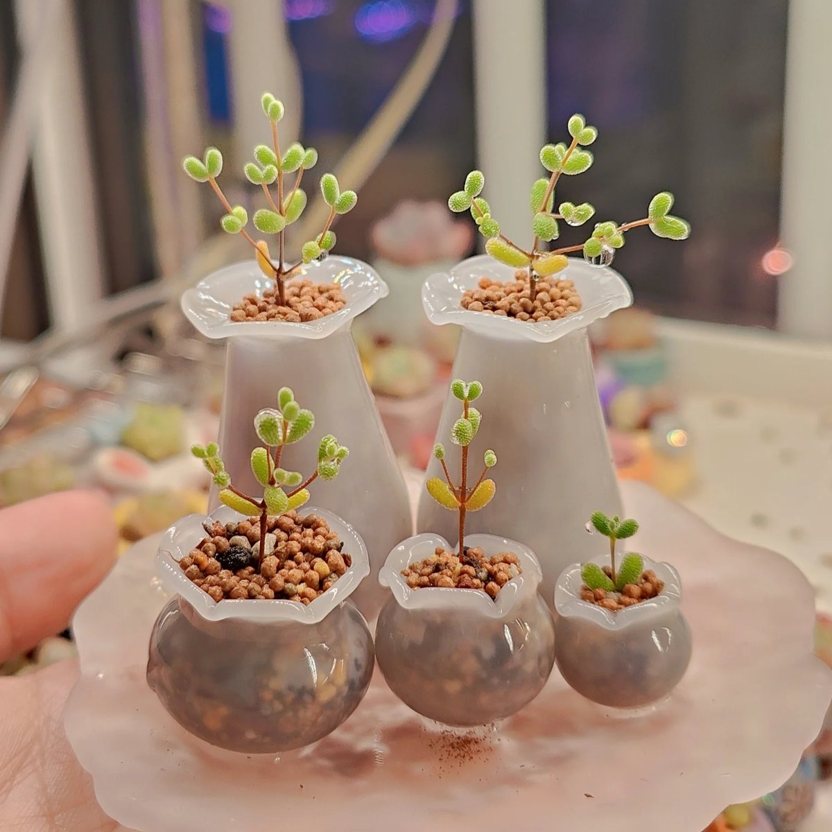 HanHellsing's tweet photo. Got an old mason jar Turn it into a cute succulent planter with just sand, tiny stones u0026 succulents—no fancy tools needed!  #DIYCraft， https://t.co/KL1HpHX8bg