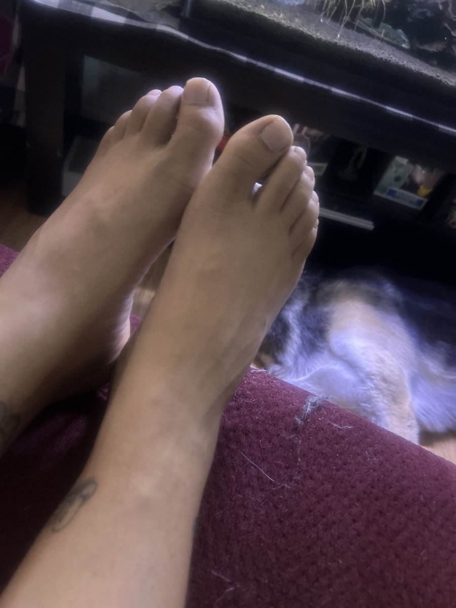 JoJoCaliGooner's tweet photo. How are my feet?
Would you lick them? Suck my toes?
Massage? 🦶🏽💗
Tell me your fantasy!
#footfetish #feet #gayfoot
#toeLover #footworship #mensfeet #barefeet https://t.co/jGxN8chOEW