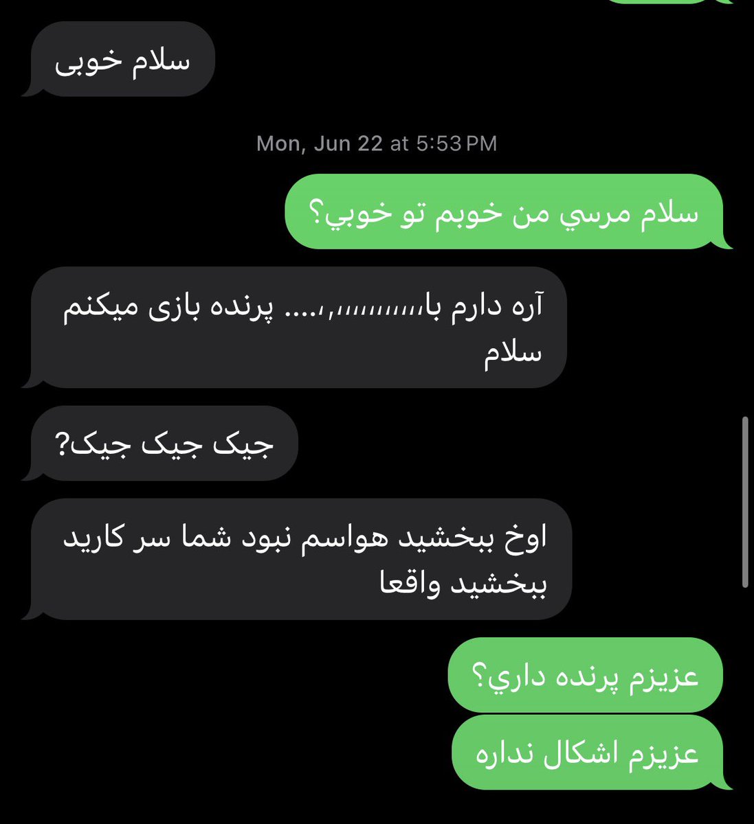setayesh🫐 tweet media