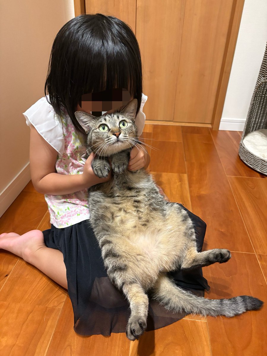 kagisuzu0531's tweet photo. 休日は猫吸いから始まります https://t.co/0OmPjwAKQ4