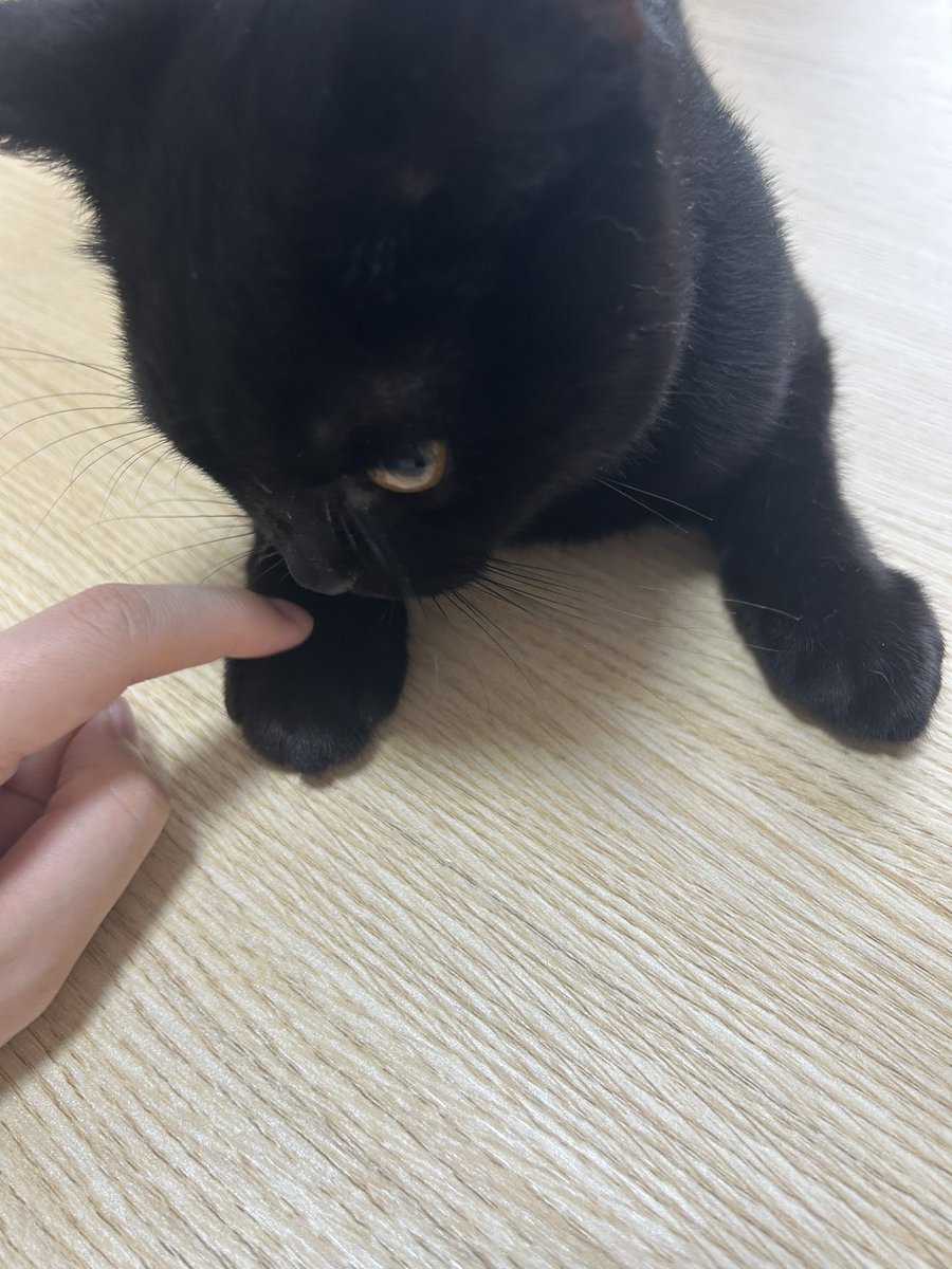 ろくとなな tweet media
