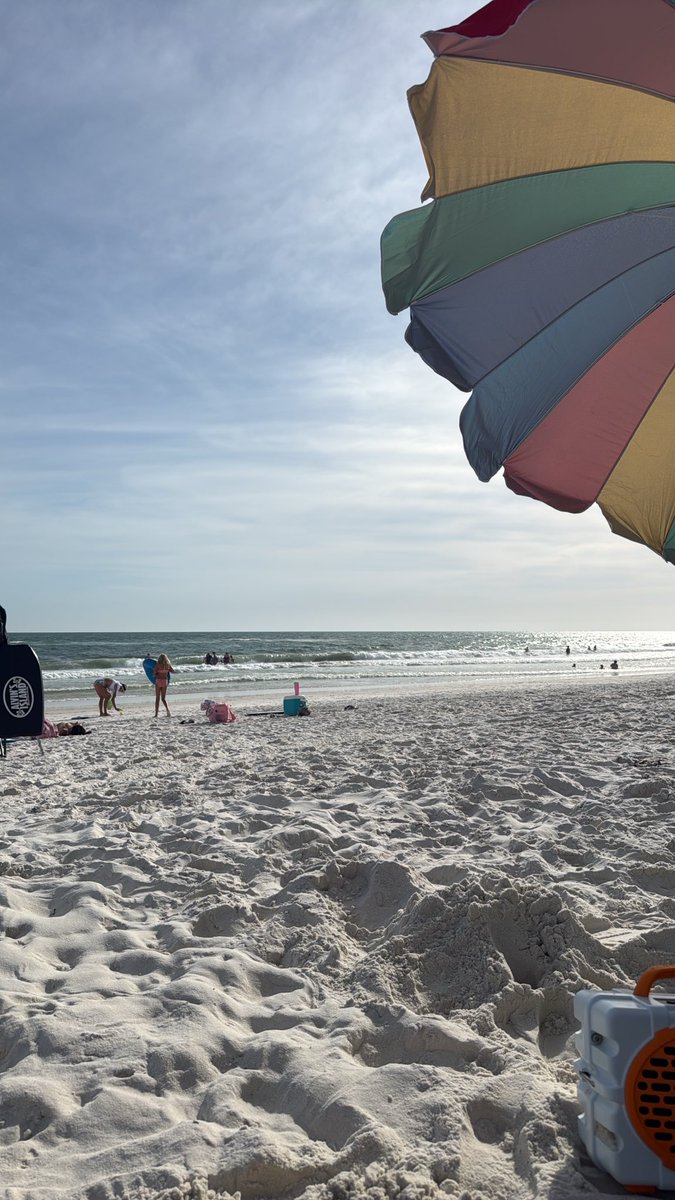 erinsmithIX's tweet photo. The Free State of Florida @RonDeSantis  💯❤️ https://t.co/D82MLfyTgP