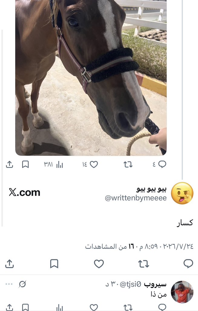 بيو بيو بيو tweet media