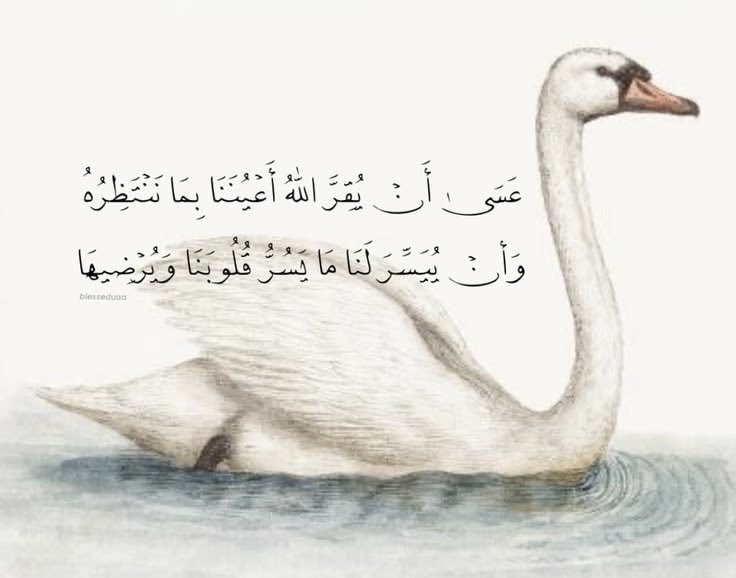 4krallah00's tweet photo. https://t.co/z3cdy7T4Dr