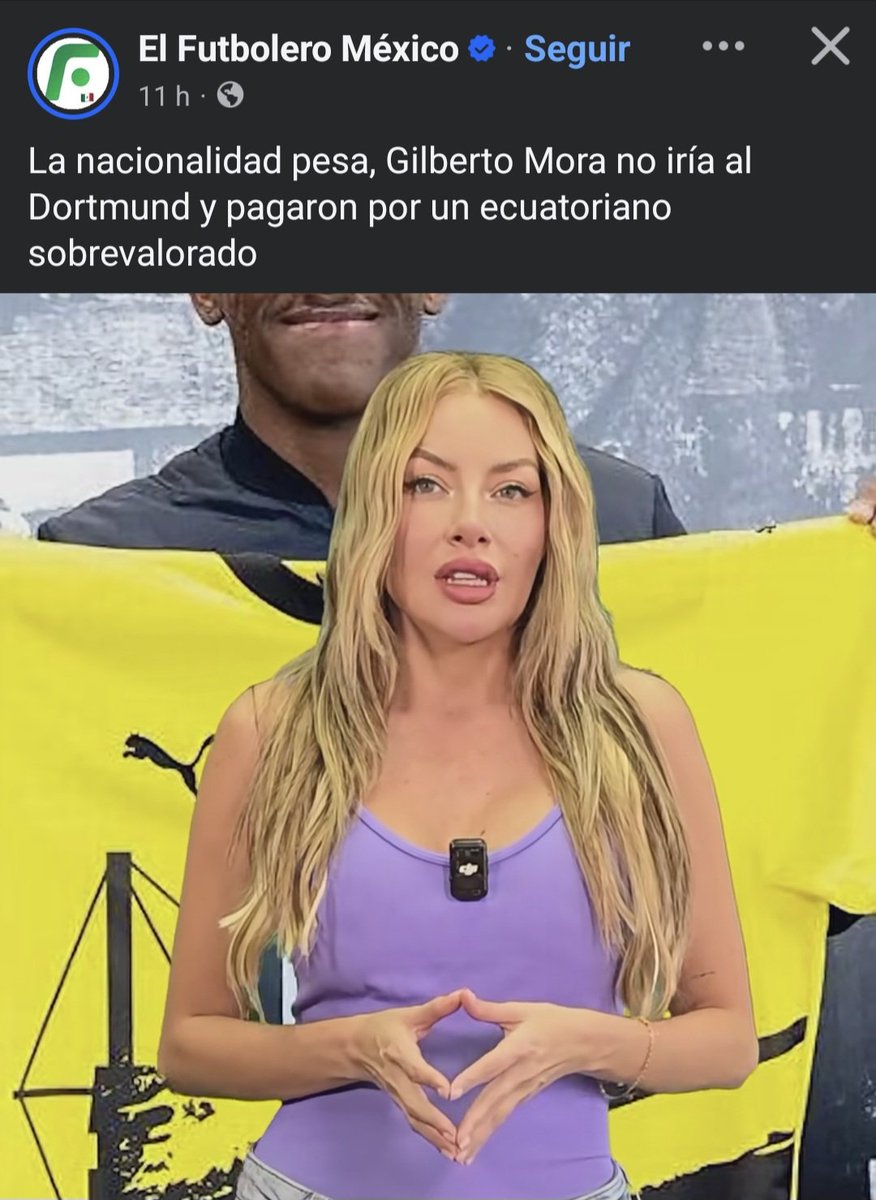 diana tweet media