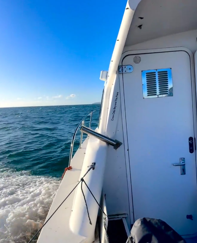 CarreonCute's tweet photo. Left at 4:30am for a fishing trip. 🎣
Caught some fish... and got seasick too 🤢
Didn't catch a whole lot, but the views were so worth it.

I'd definitely go again. Hopefully I won't throw up next time 😂🌊 https://t.co/lkf8MU6Ltg