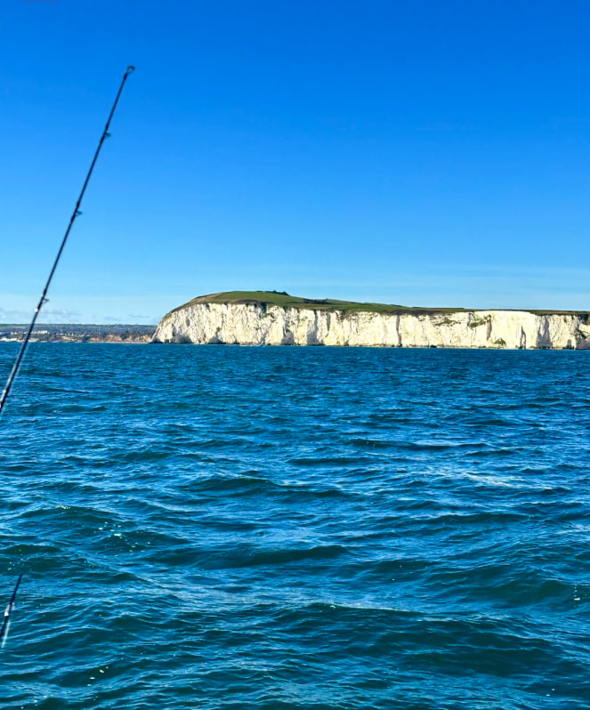 CarreonCute's tweet photo. Left at 4:30am for a fishing trip. 🎣
Caught some fish... and got seasick too 🤢
Didn't catch a whole lot, but the views were so worth it.

I'd definitely go again. Hopefully I won't throw up next time 😂🌊 https://t.co/lkf8MU6Ltg