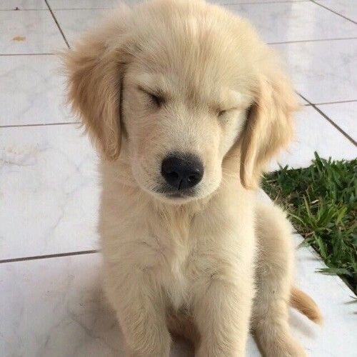 fujomutt's tweet photo. im so tired all the time omg https://t.co/jkDwKy22lY