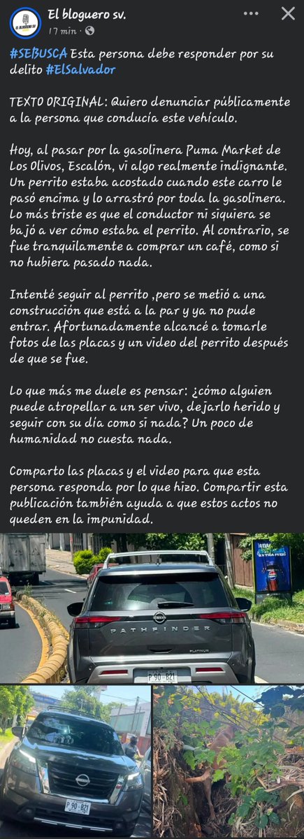 peludos_sv's tweet photo. #serviciosocial ayuda que se cumpla la ley @ilovelymoon @chamaguaJR @poupee169 @lamanadadepick @pipo78789 @SusanaDeras1 @Petunia45324719 @CALEMANR @iambeckyg @DianaV2512 @cantanteioh @DiaJusta https://t.co/eFGEap1YMS