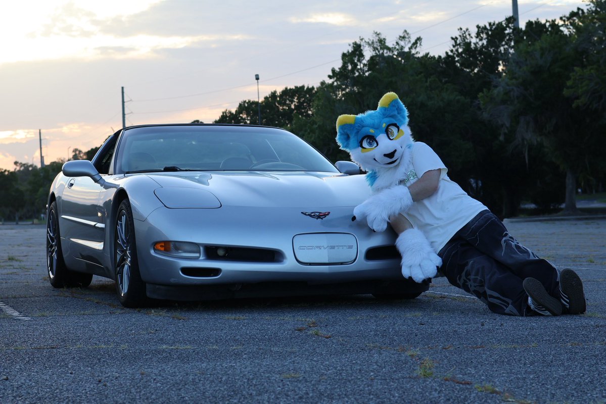 shimionline's tweet photo. Happy #fursuitfriday everyone :) https://t.co/aA4TZ9KflX