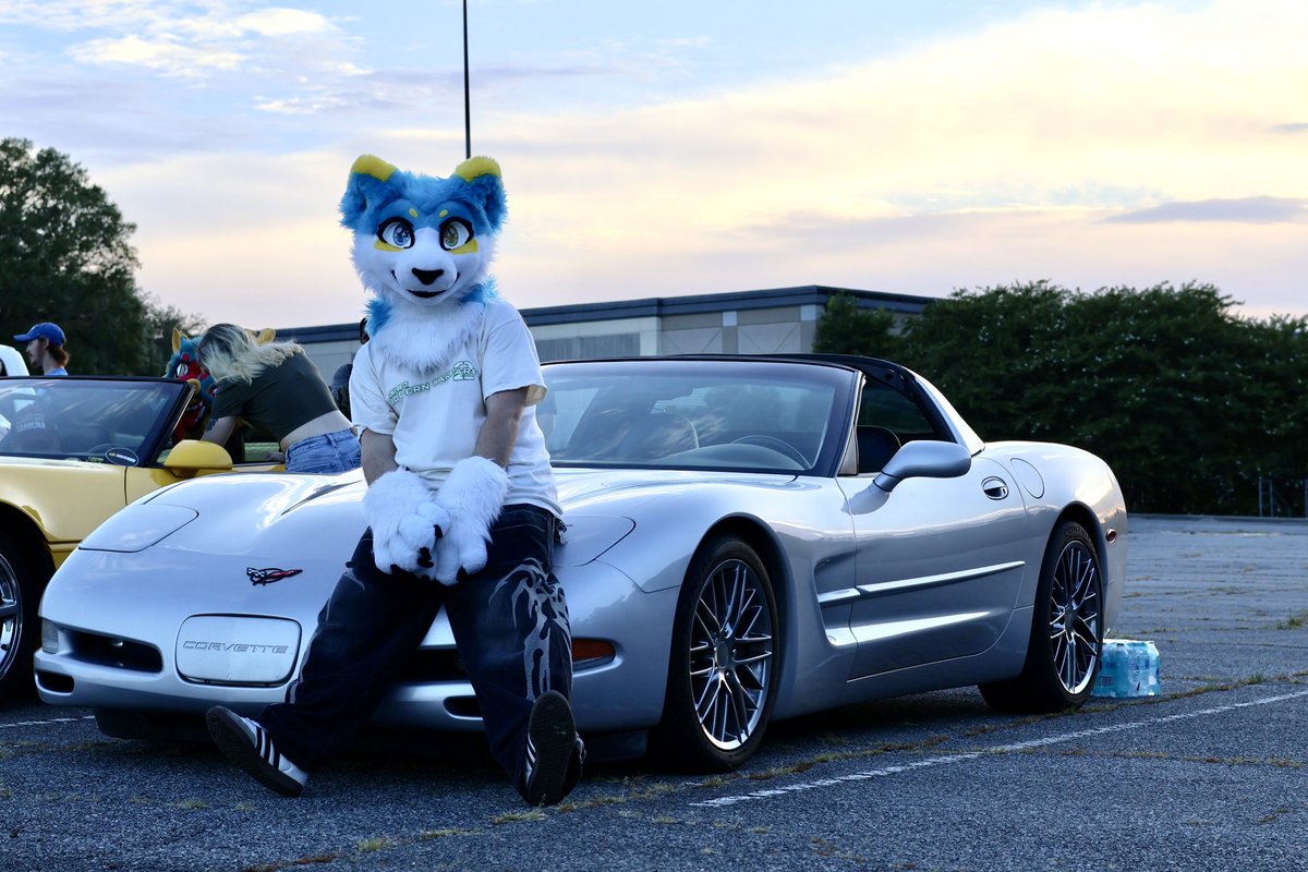 shimionline's tweet photo. Happy #fursuitfriday everyone :) https://t.co/aA4TZ9KflX