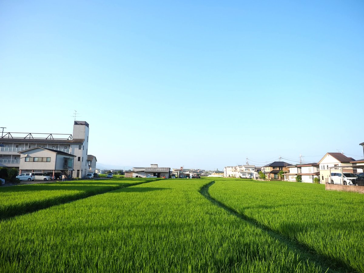tdl3538's tweet photo. 今朝の町内の風景
令和八年七月二十五日
25th/JULY/2026
#近所
#町内
#風景
#景色
#Neighborhood Landscape Photos
。 https://t.co/V4QCuJO7ae